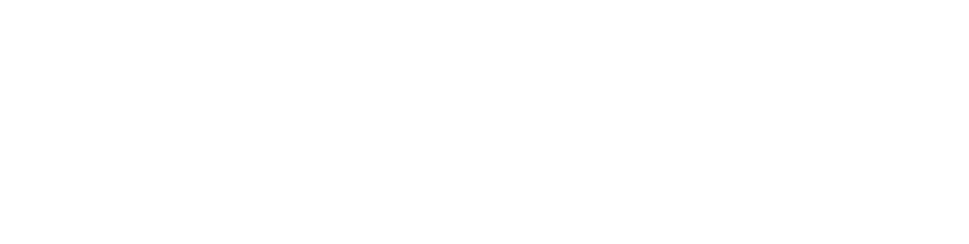 الرئيسية